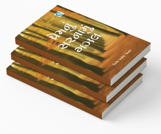 પ્રેમનું સરનામું ગઝલ